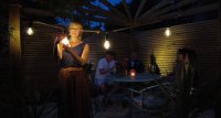 Bulb Light