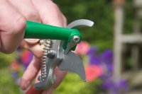 Tool Sharp