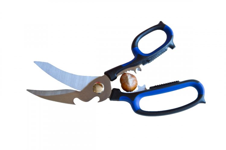 Rhino Scissors